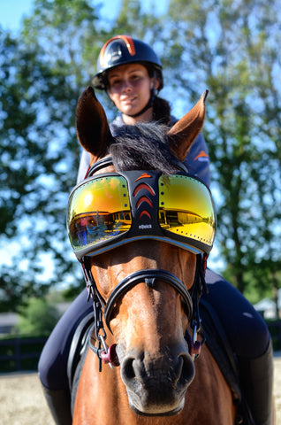 Horse Eye Protection