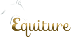 Equiture Browbands