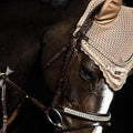 Equestrian Stockholm Ear Net - Champagne-Ear Veil-Equestrian Stockholm-Full-Champagne-The Yard