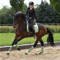 RBH Saddlepad - Platinum New Nordic Flourite Green-Saddlecloths-Rider By Horse-Dressage-Flourite Green-17" (Full)-The Yard