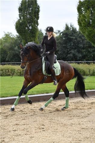 RBH Saddlepad - Platinum New Nordic Flourite Green-Saddlecloths-Rider By Horse-Dressage-Flourite Green-17" (Full)-The Yard